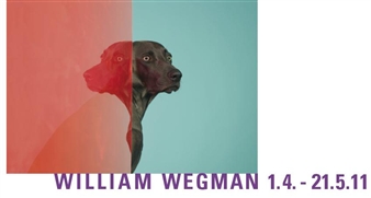 William Wegman: New Photos - Galerie Bugdahn & Kaimer