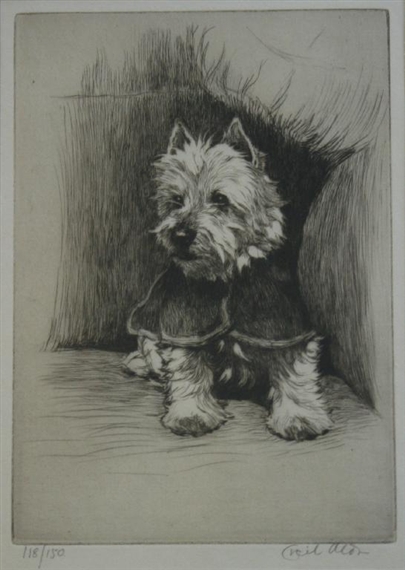 WHO SAID RATS by Cecil Aldin