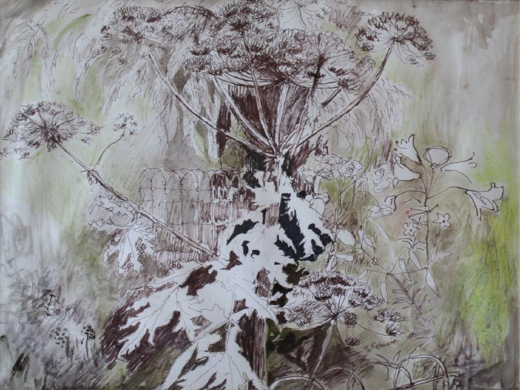 Artwork by Edna Ginesi, COW PARSLEY, Made of pen and ink and wash