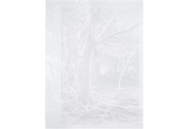 Cameron Martin, “Bracket”