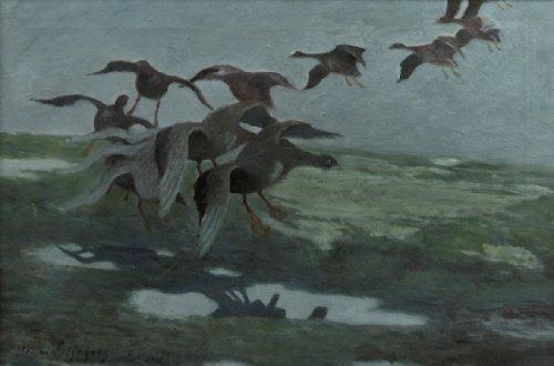 Ducks descending into a marsh by Bruno Liljefors
