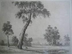A monochromatic landscape featuring a prominent leaning tree in the foreground with distant hills and water.