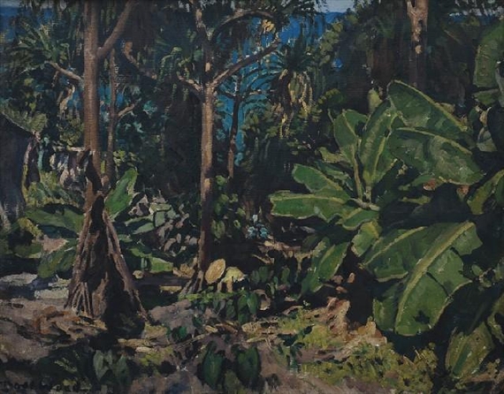 Bedarra Island by Noel Wood