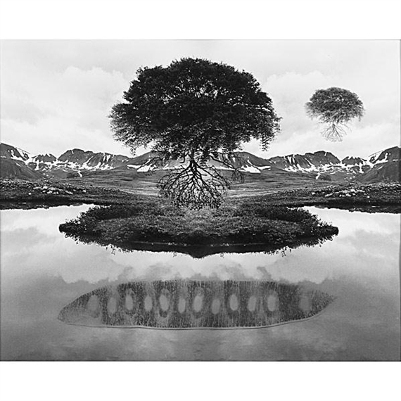 Floating Tree by Jerry Uelsmann, 1969