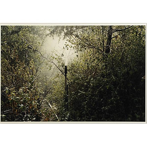 Sprinkler - Dan Torop