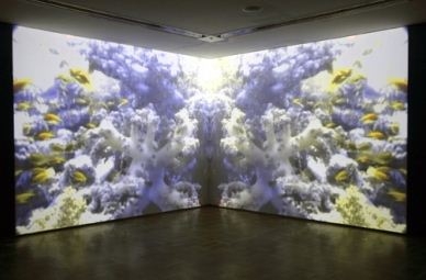 Pandora's Box: Joseph Cornell Unlocks the MCA Collection - MCA, Museum of Contemporary Art Chicago 