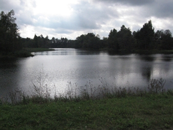 Andreas Gedin: Sharing a Square - Gothenburg Museum of Art