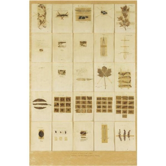 Journal Herbier Bordeaux - Anne & Patrick Poirier