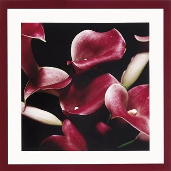 FLOWERS - Marie-Jo Lafontaine