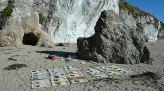 Mary Weatherford: Cave at Pismo - Kathryn Brennan Gallery