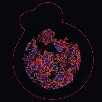 Ghrelin Internalisation: Ghrelin con tet Ghrelin 20 minutes  - Jo Berry