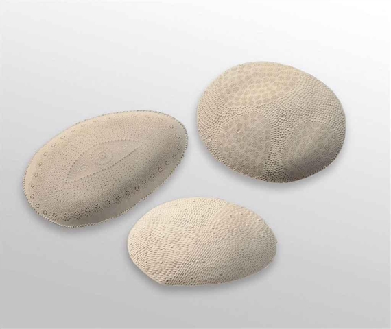 Untitled (Rough cut series); three elements by Jason Lim