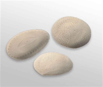 Untitled (Rough cut series); three elements - Jason Lim