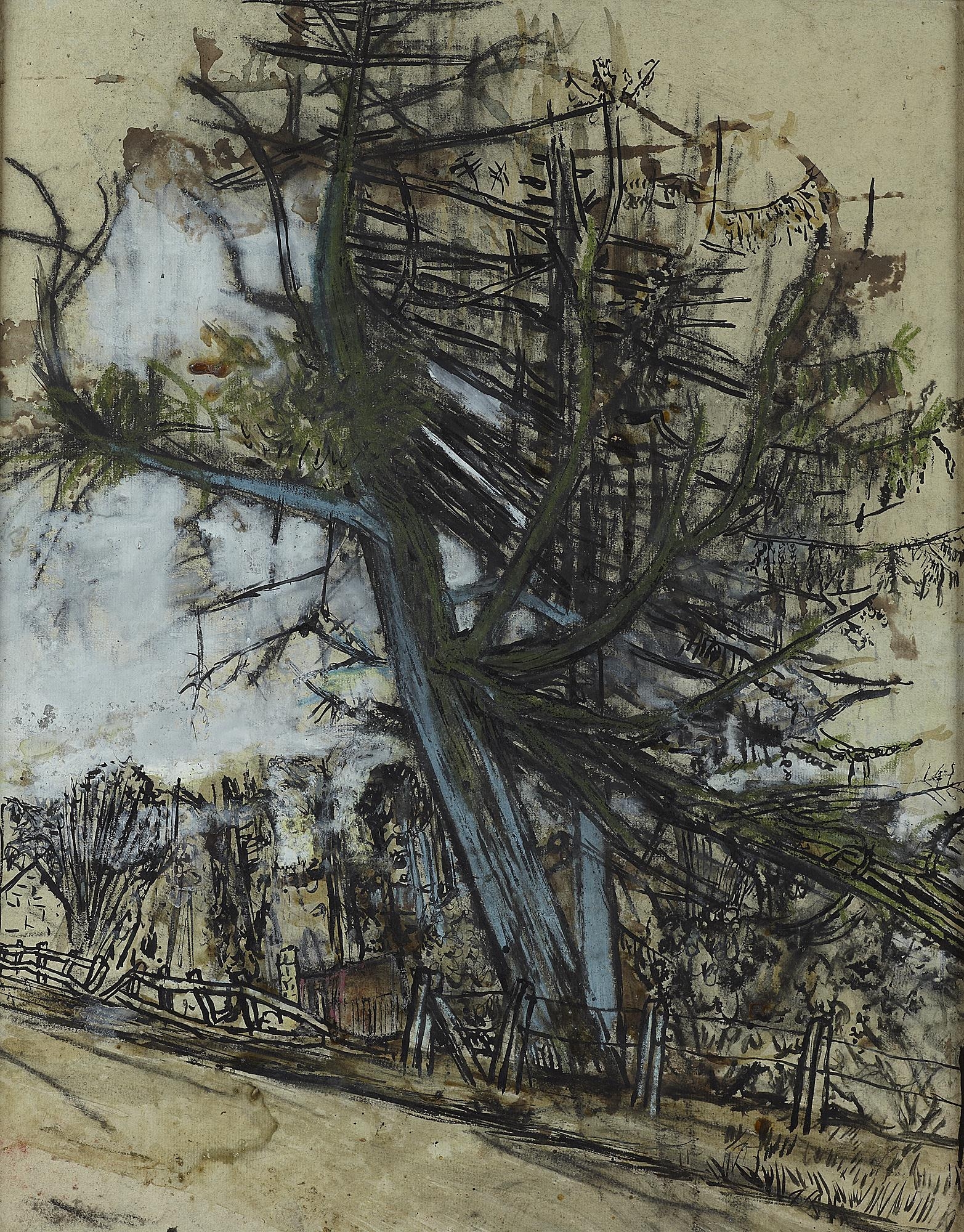 Artwork by Joan Kathleen Hardy Eardley, TREE STUDY, Made of Mixed media