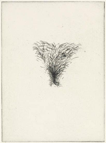 Jim Dine | Four works: Four Kinds of Pubic Hair (1971) | MutualArt