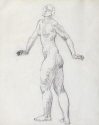Artwork by Ferdinand Hodler, Standing female nude, Made of Pencil on paper