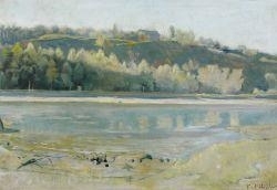 Die Arve am Bois de la Bâtie