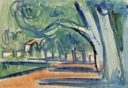 Park landscape in the summer