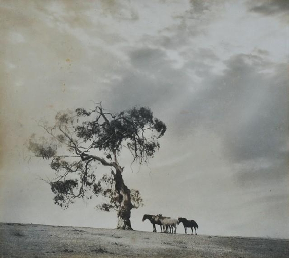 Sunday by Harold Cazneaux
