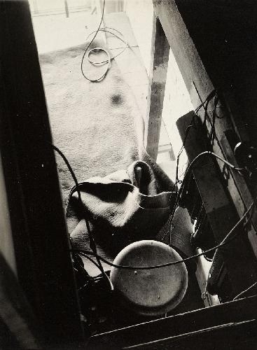 UNTITLED by T. Lux Feininger, Late 1920s