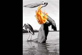 Photography and Video Exhibition Announced at the Marrakech Art Fair 2011 Cultural Circuit