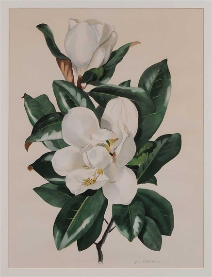 Magnolia Blossoms - Jean Rathborne