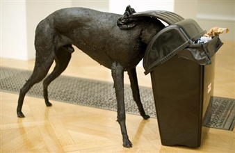 Dog in a Bin - Simon Brundet