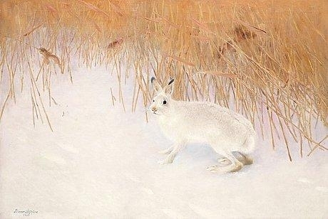 Hare in a winter landscape by Bruno Liljefors, 1900