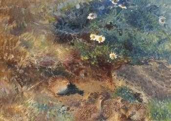 Rapphöns i vårlandskap