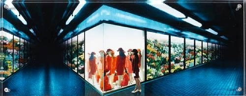 Elevator Girl House by Miwa Yanagi, 1995