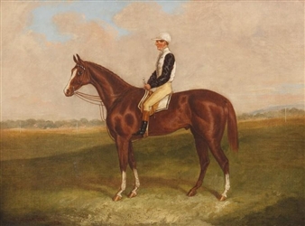 Chestnut Race Horse on Newmarket Heath - T.R. Hart