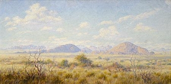 South West African landscape with springbuck, bushveld & mountains in the far distance - Johannes Blatt