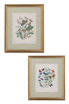 20 works: Flowers - M.A. Burnett