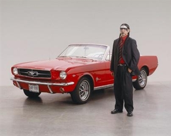 Steeling the Gaze at the McMichael