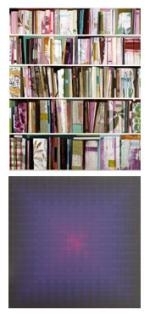 Stanford Kay & Sarah Ferguson - Wally Workman Gallery