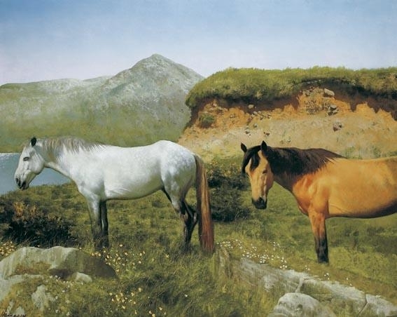 CONNEMARA PONIES by Patrick Hennessy