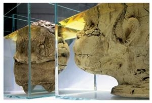 Yardena Kurulkar: Transience - Gallery BMB