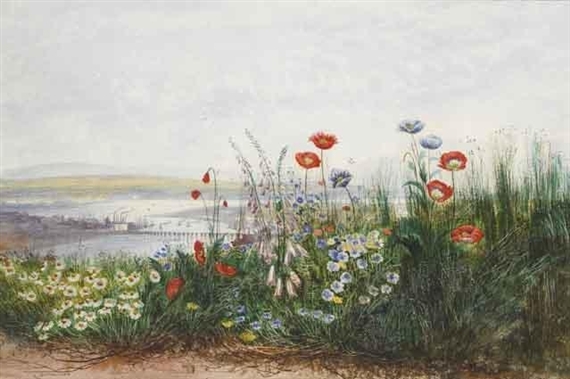 POPPIES, OX-EYE DAISIES, DANDELIONS AND FOXGLOVES AT THE EDGE OF A FIELD, WITH A VIEW OF LONDONDERRY by Andrew Nicholl