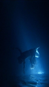 Bill Viola: Isolde’s Ascension (The Shape of Light in the Space after Death) - Stella Art Foundation