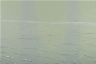 MoMA PS 1 to Look at Art from the Past 50 Years from a Post 9/11 Perspective     