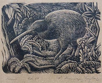 Kiwi by E. Mervyn Taylor