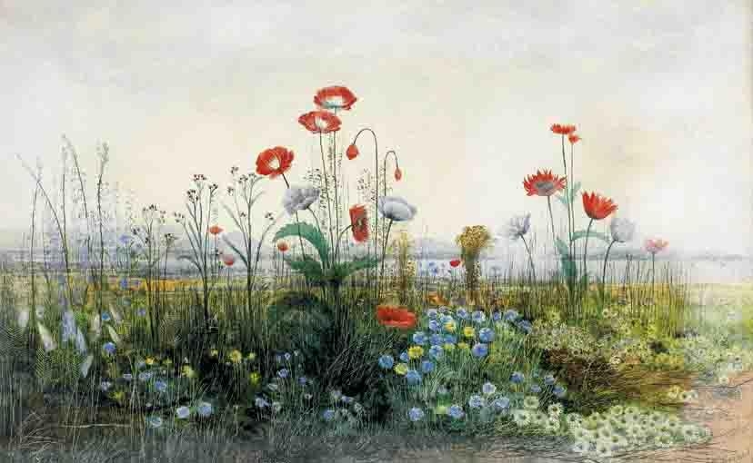 Artwork by Andrew Nicholl, POPPIES, OX-EYE DAISIES AND DANDELIONS AT THE EDGE OF A FIELD, WITH CARLINGFORD LOUGH AND THE TOWN OF ROSTREVOR IN THE DISTANCE, Made of watercolour with gum arabic and scratching out