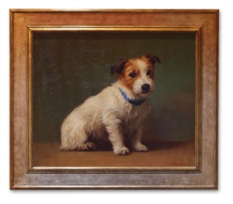 Jack Russell Bitch (Buster) - Galina Perova