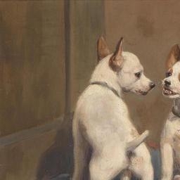 Der verteidigte Knochen - Gabriella Rainer Istvanffy