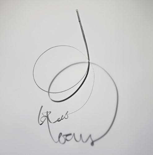 Locus by Fred Eerdekens, 1990