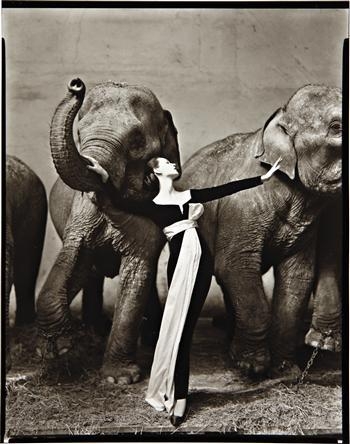 Dovima with elephants. Evening dress by Dior. Cirque d'Hiver, Paris, August by Richard Avedon, 1955