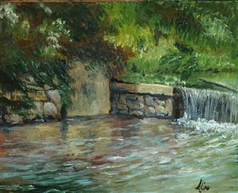 Griffin Park dam - Aline Lotter