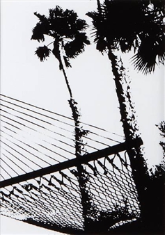 2 works: Untitled (Palm Trees and Hammock); Silhouette, Hanoi, Vietnam - Gary Dorothy