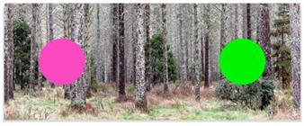 Geoff Kleem curated into Austrian exhibition