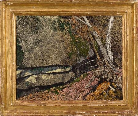 Ledge in the Woods - Howard Notman